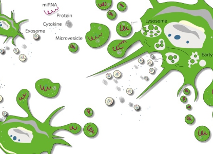 Hồi Phục Sức Khỏe Toàn Diện Nhờ Dịch Tiết Tế Bào Gốc